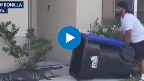 Shocking Video