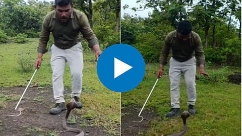 Shocking Video 