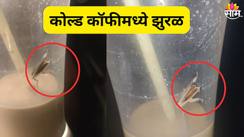  कोल्ड कॉफीमध्ये झुरळ आढळलं