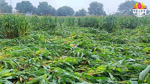 Kannad Heavy Rain