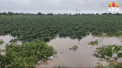 Marathwada Heavy Rain