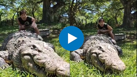 Shocking Viral Video