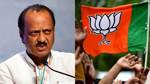 अजित पवार गटामुळे भाजपला गळती? दादांमुळे आमदारकीची संधी हुकणार? पाहा व्हिडिओ 