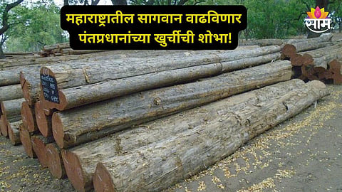 Chandrapur Teak Wood For PM Office: 