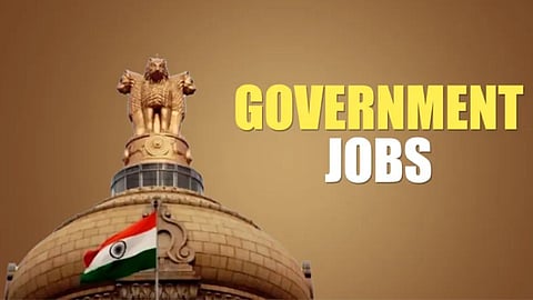 Government Job