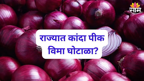 कांदा पीक विमा घोटाळा