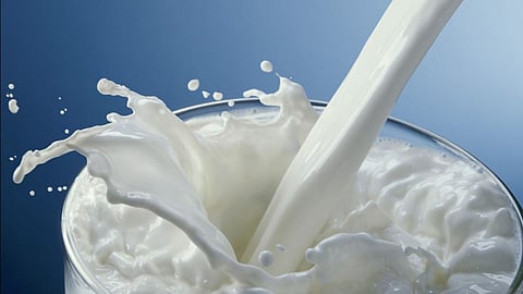Milk Adulteration