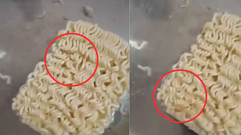 Maggot in Maggi: बापरे! मॅगी नूडल्समध्ये आढळले जिवंत किडे; ग्राहक मंचाकडे तक्रार दाखल, Video Viral
