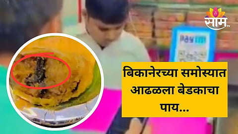 Viral Video:  चाललंय तरी काय? बिकानेरच्या समोस्यामध्ये आधी झुरळ आता बेडकाचा पाय, व्हिडीओ पाहून तुम्हालाही येईल किळस  