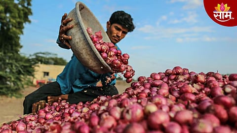अफगाणिस्तानाच्या कांद्याची भारतात एन्ट्री; केंद्राच्या निर्णयामुळे शेतकऱ्यांमध्ये संतापाची लाट, VIDEO 