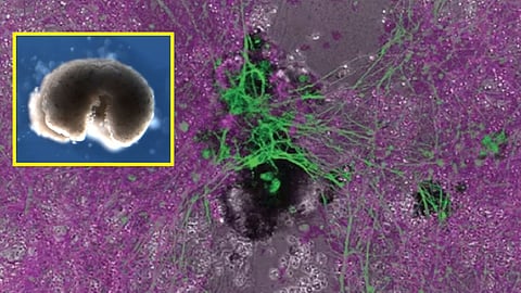 Science News