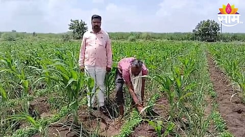 Solapur News