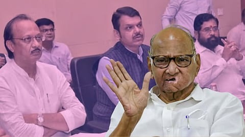 साखरपट्टा महायुतीला कडू? शरद पवारांच्या डावाने सत्ताधाऱ्यांचं टेन्शन वाढलं? पाहा व्हिडिओ 