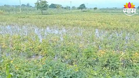 Dharashiv Rain