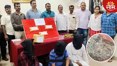 व्हेल माशाच्या कोट्यावधी रुपयांच्या उलटीची तस्करी, पोलिसांनी सापळा रचत तिघांना ठोकल्या बेड्या