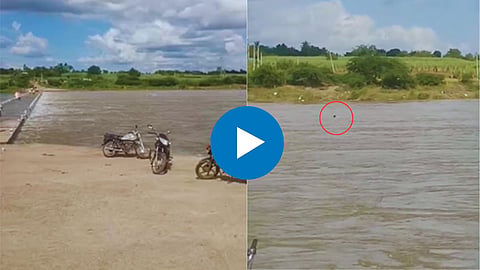 Shocking Video