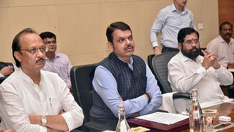 राज्य सरकारचा मोठा निर्णय! देशी गायींना 'राज्यमाता - गोमाता' दर्जाची घोषणा 