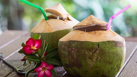 Coconut Water 