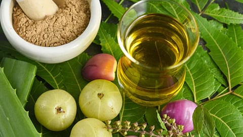 Hair Growth Oil 