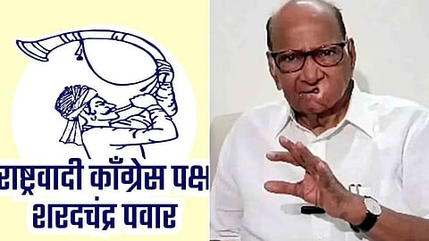 Maharashtra Assembly Elections