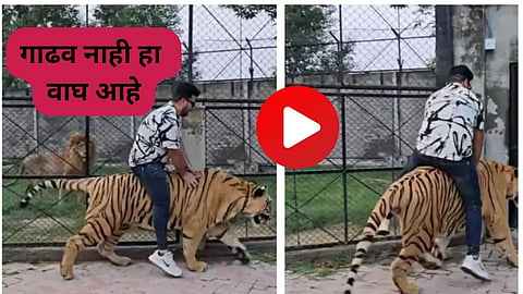 pakistan Viral Video 