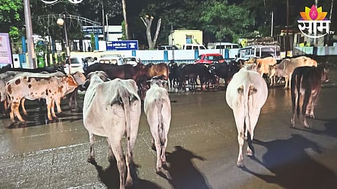 Nashik News