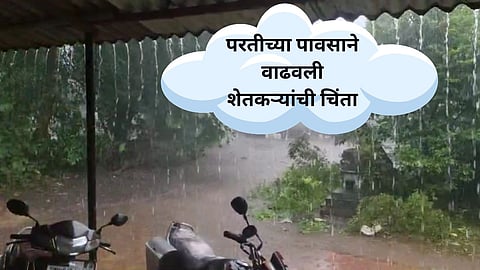 Weather Update: मुंबईसह उपनगरात परतीच्या पावसाची हजेरी; वादळी वाऱ्यासह पडणाऱ्या पावसाने वाढवली बळीराजाची चिंता 