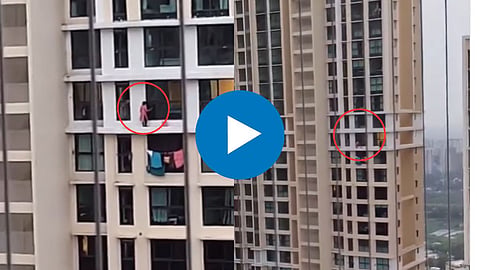 Shocking Video