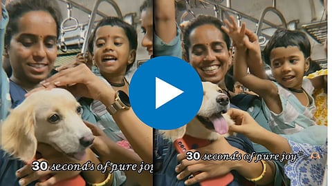 Dog In Train Viral Video