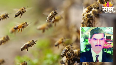 Bee Attack