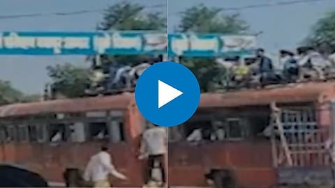 Shocking Video