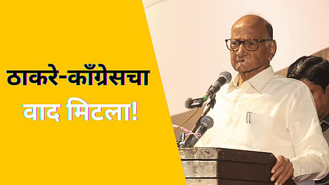 Maharashtra Vidhan Sabha Election