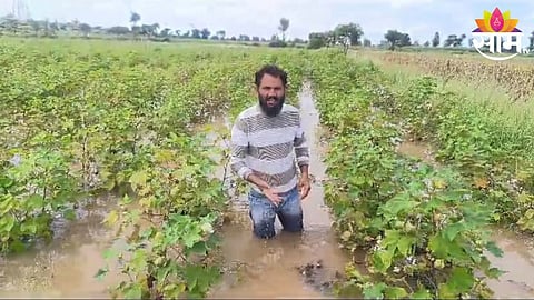 Nandurbar Rain