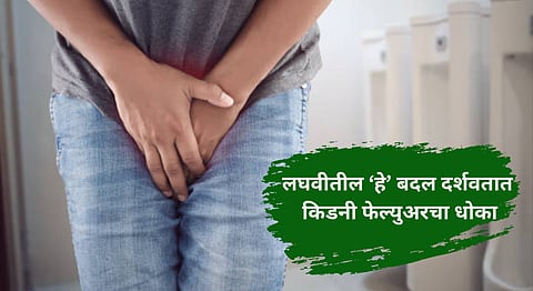 Health Tips