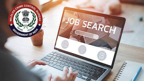 Government Job