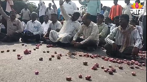 Onion Price