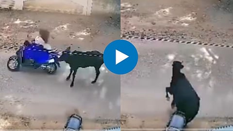 Shocking Viral Video