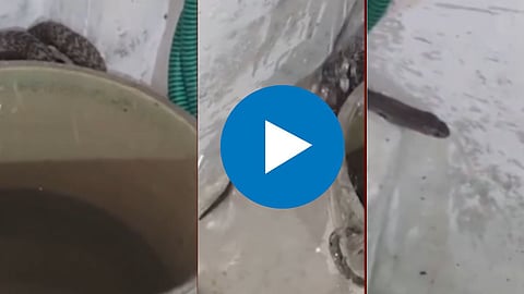 Viral Video