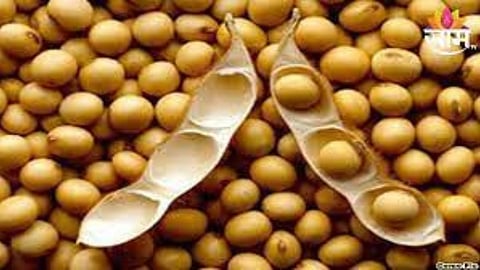 Soyabean Price