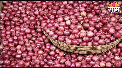 Onion Price