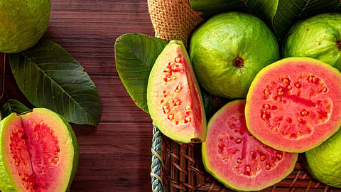 Red Guava 