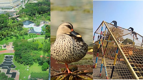 pune parks 