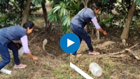 Shocking Viral Video