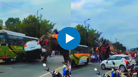 Shocking Viral Video