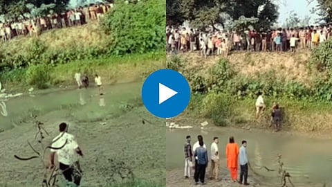 Funny Viral Video