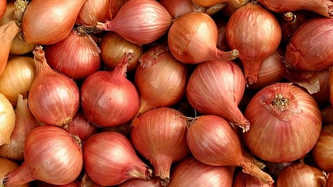 onion high price