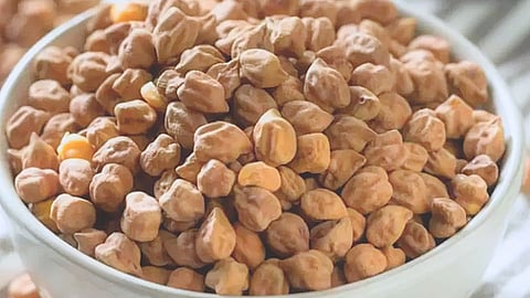roasted chickpeas:हिवाळ्यात भाजलेले हरभरे खा; 'हे' आजार राहतील कोसो दूर 