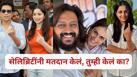 Celebrity Voting assembly election 2024