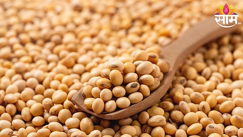 Soyabean Price