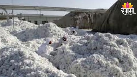 Cotton Price